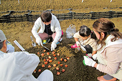 【写真】植付イベントの様子