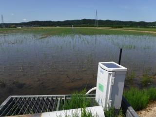 水田センサと自動給水栓