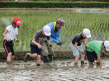 田植え体験(東中野山小学校)