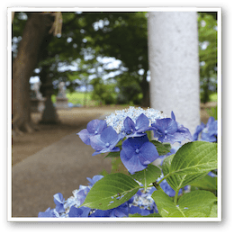 雨の日に撮影