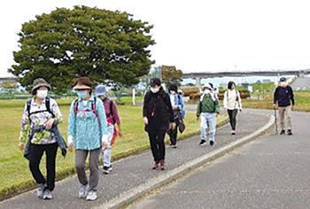 木曜ウオーキング会イメージ