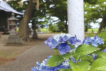 東区役所インスタイメージ