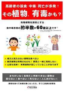 （高齢者向け）有毒植物による食中毒予防について（厚生労働省リーフレット）