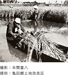 水と土の文化創造都市イメージ1