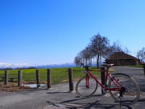 福島潟でレンタサイクル