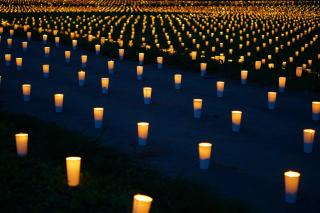 入選（福島潟自然文化祭）