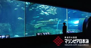 新潟市水族館マリンピア日本海