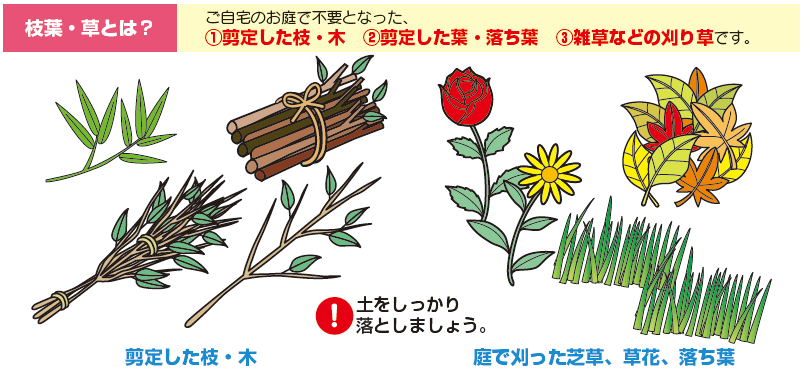 枝葉・草とは、ご自宅のお庭で不要となった、剪定した枝・木、剪定した葉・落ち葉、雑草などの刈り草です。