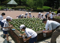 新潟小学校－活動中2