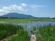 佐潟公園－夏の佐潟