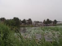 金巻の池公園の写真