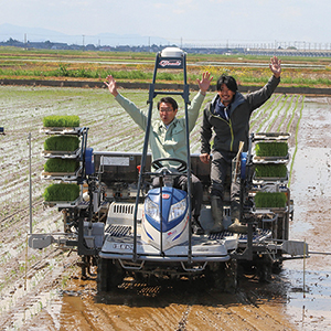 ICT田植機で田植えをしている写真