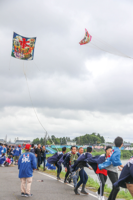 大凧合戦で本新蝶組が揚げている写真