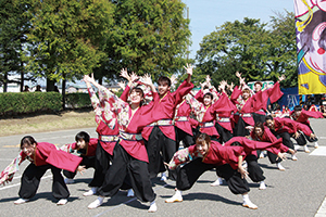 凧フェス総踊りで演舞している写真