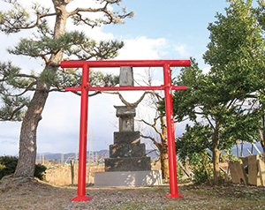 「恙虫神社」の写真