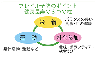 フレイル予防のポイント、健康長寿の３つの柱「栄養」「運動」「社会参加」を表したイラスト