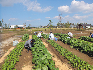 市民農園②　中之口農業体験公園