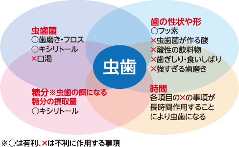 虫歯のメカニズム　虫歯の原因の相関図