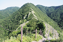 角田山登山道より