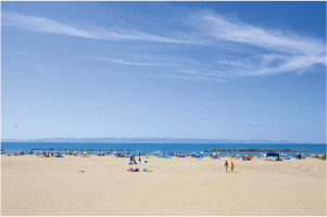 越前浜海水浴場の写真