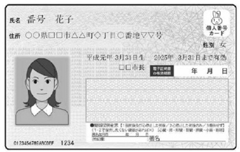 マイナンバーカード（見本）