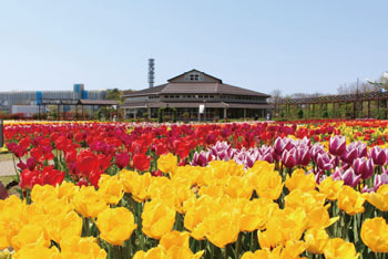 食と花の交流センターエリア